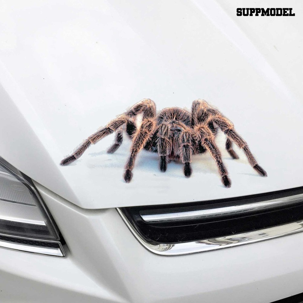 Supmodel Sticker Decal Dekorasi Kaca Jendela Dan Bumper Mobil Motif Gambar Spider Lizard Scorpion 3d