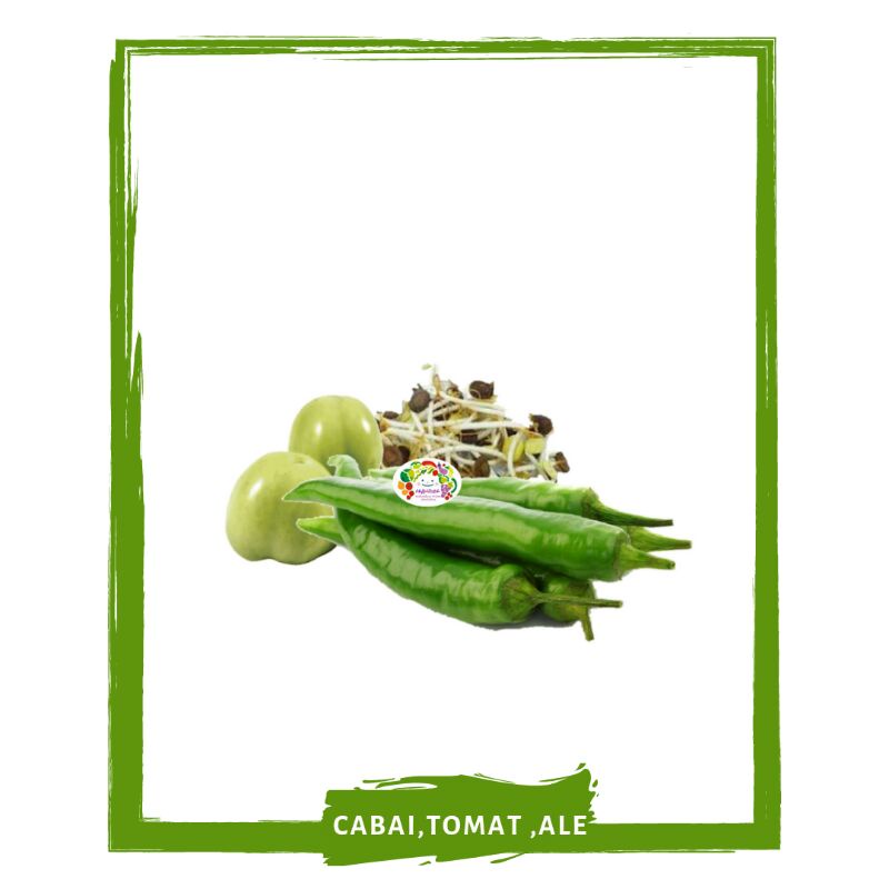 

Paket Cabai Hijau + Tomat Hijau + Ale / Sayur Sayuran Segar By Mallahrizwa