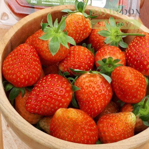 

Sayurbox Strawberry Konvensional 250 gram
