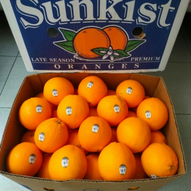 

JERUK SUNKIS NAVEL CALIFORNIA USA 1 DUS