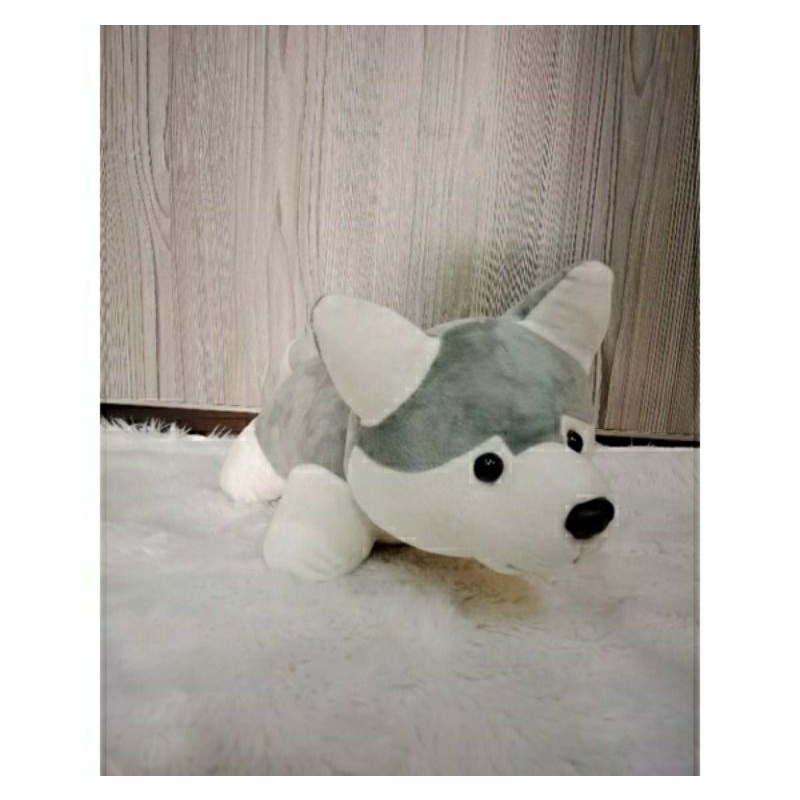 Boneka Dog Husky Lucu Boneka Anak Boneka Anjing Boneka Lucu Hadiah Anak Hadiah Boneka Kado Anak Kado Boneka Hadiah lucu anak