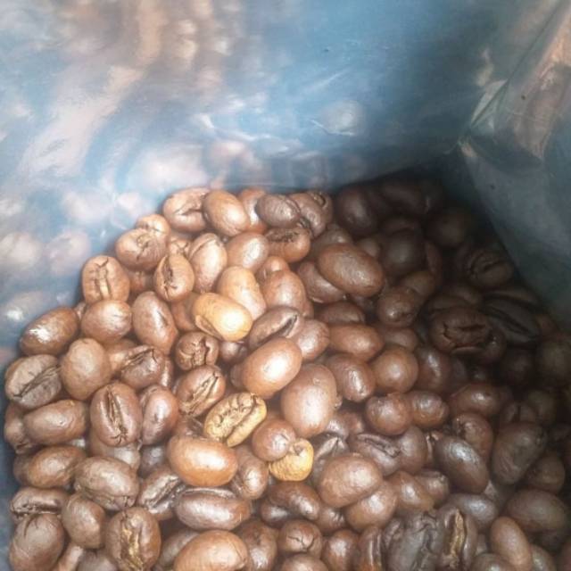 

Biji kopi robusta