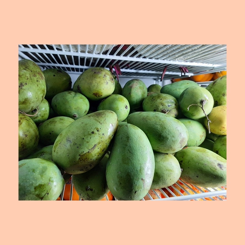 

Mangga harum manis / mango fruit