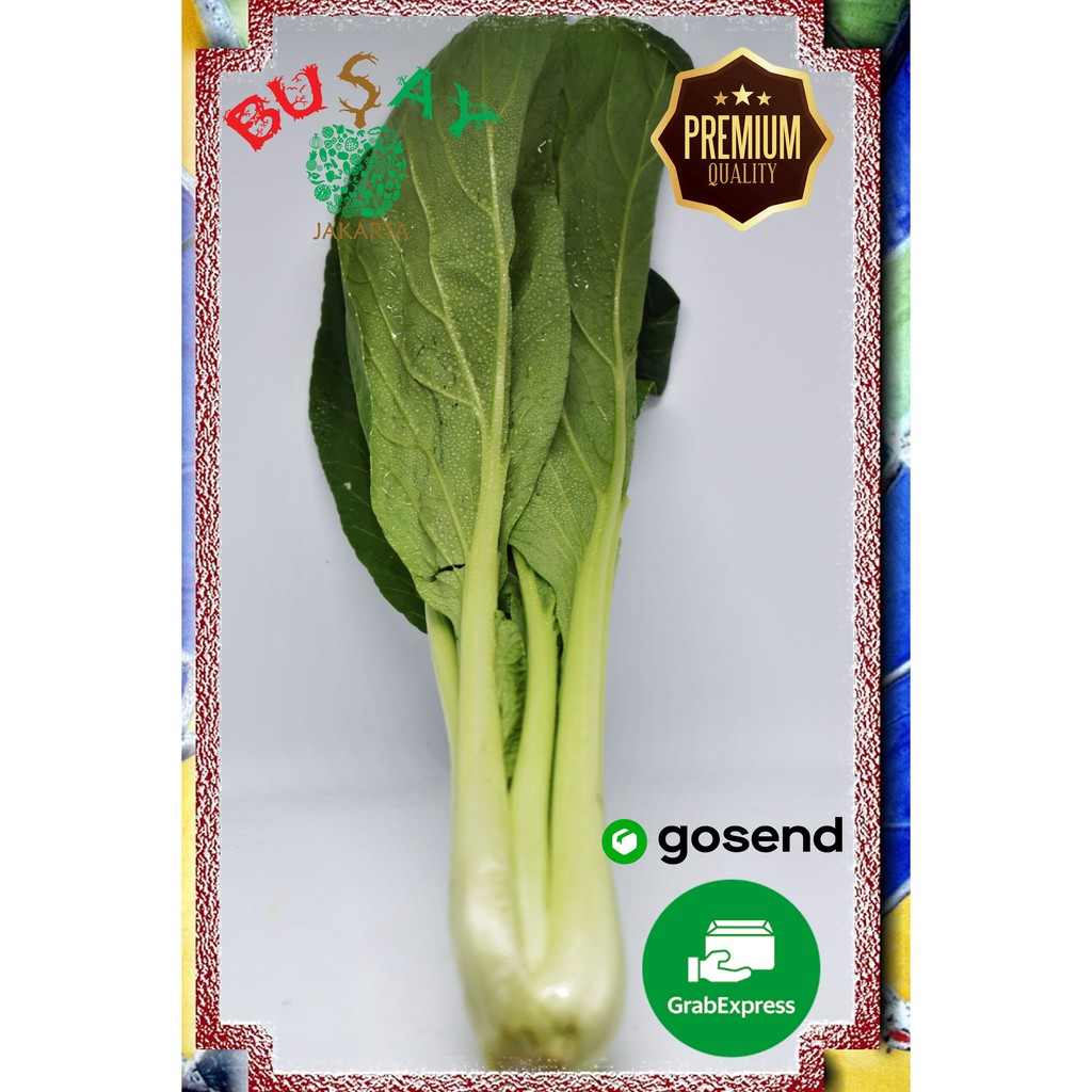 

Sawi Hijau Sayuran Segar Sayur Segar