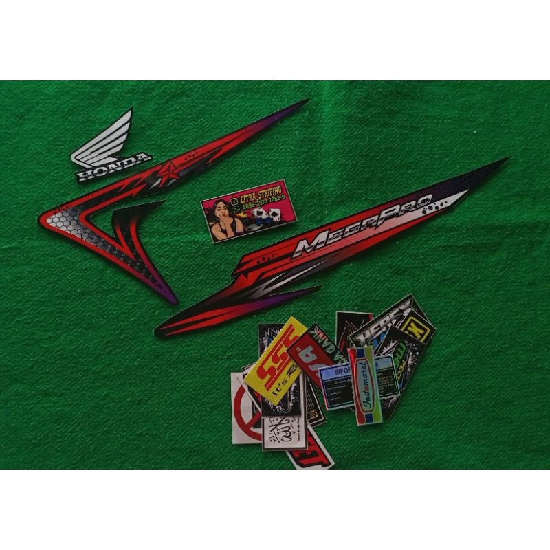 striping mp primus