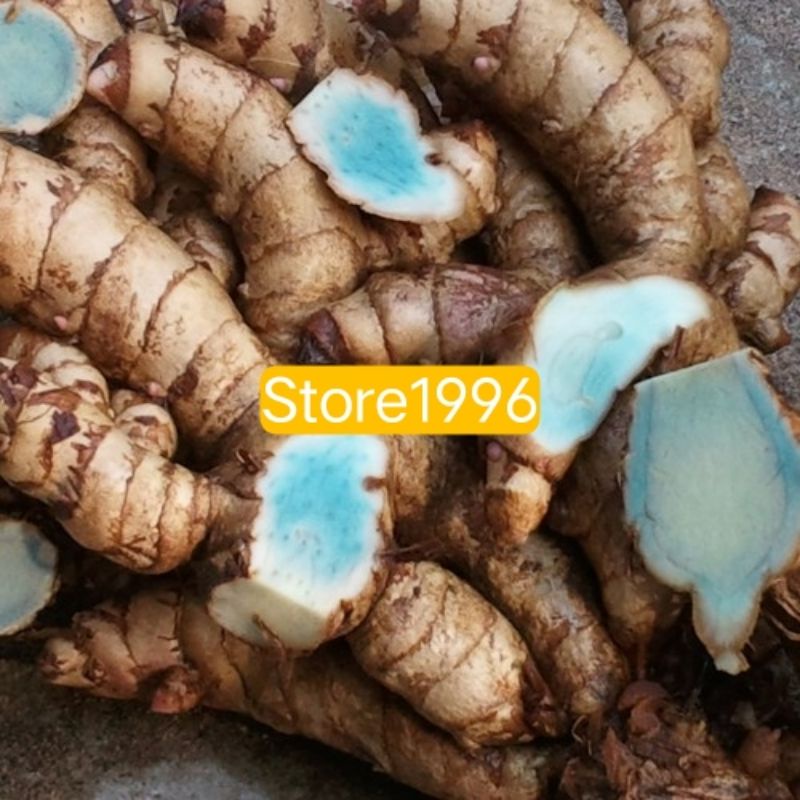 jual kunyit Hitam Koneng paket 250 gram