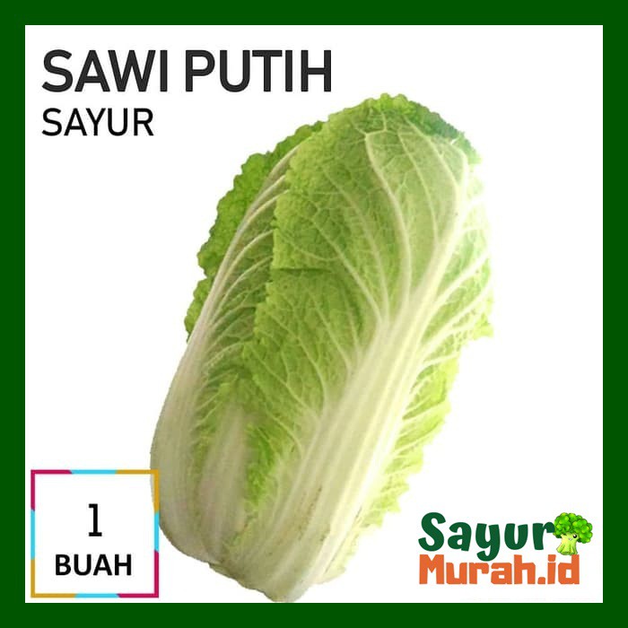 

SAWI PUTIH SAYUR [1 Buah]