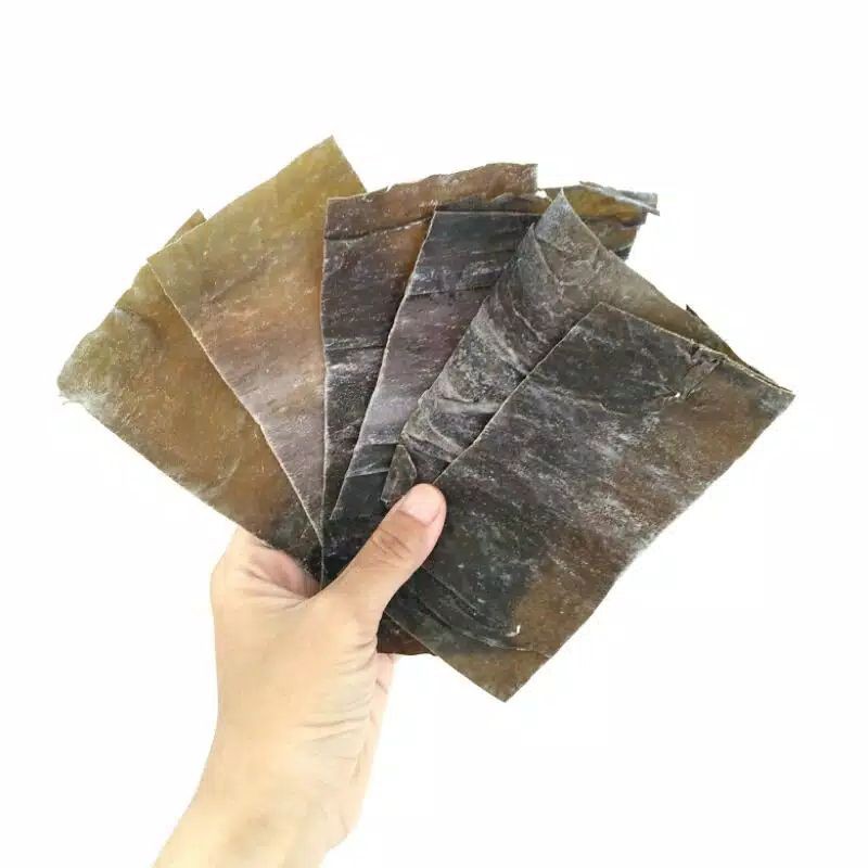 

Kombu Dashi Konbu Dashima 50 gr | kelmpk Import Kaldu Rumput Laut Kering