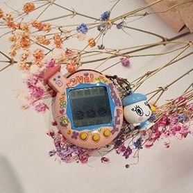 Tamagotchi bandai v5