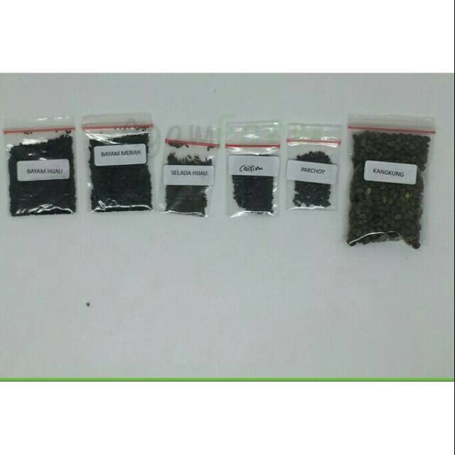Benih bibit sayuran hidroponik 6 macam