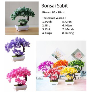 Bonsai bulan  sabit  pohon dekorasi dinding Shopee Indonesia