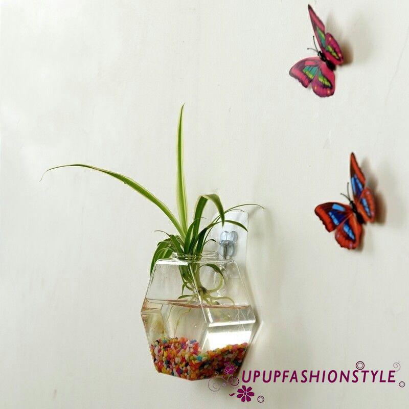  Pot  Vas Bunga Terrarium Gantung  Bahan Kaca  Shopee Indonesia