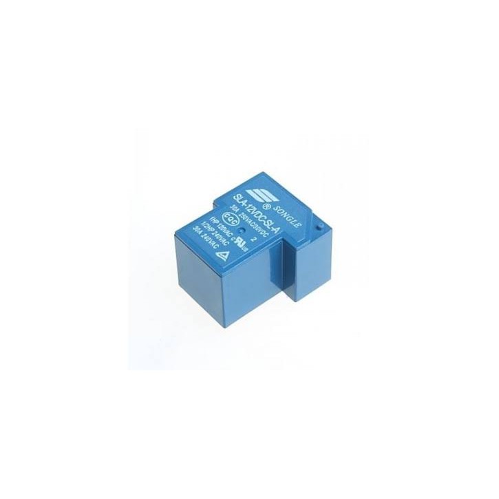 RELAY KODOK 30A 12V SLA-12VCD-SL-C SONGLE RELAY 6 KAKI