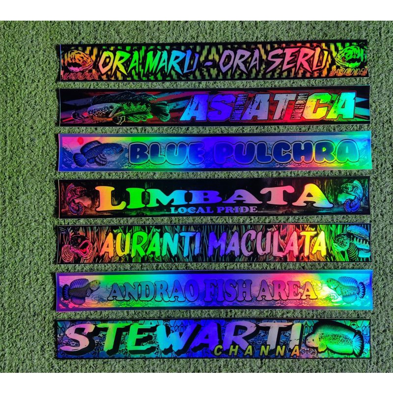 STIKER HOLOGRAM AKUARIUM IKAN GALAK / IKAN CHANNA