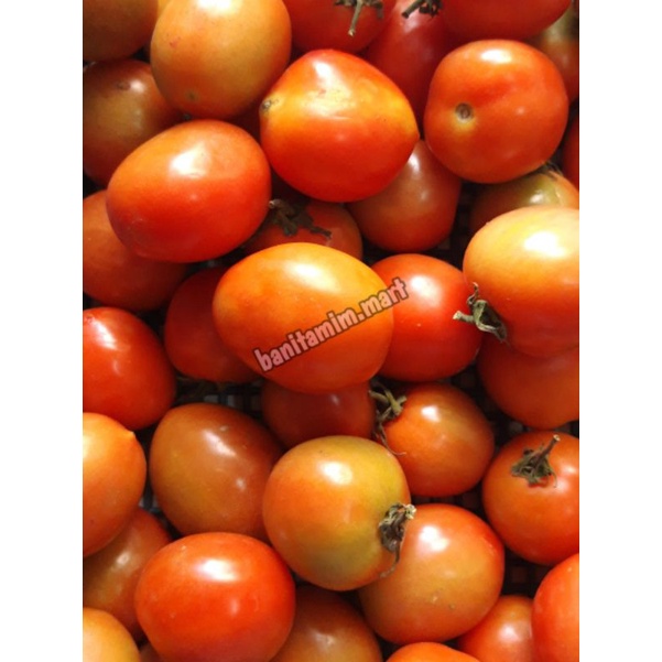 

TOMAT SEGAR BANDUNG 100gr