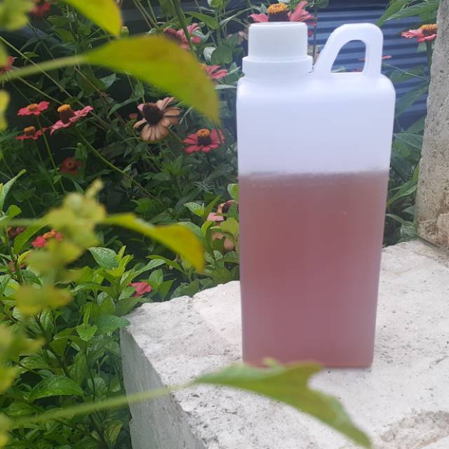 

[ ISI 1 KG ] Madu Murni Tanpa Proses | Raw Honey Nextar Kapuk Randu 100% Natural