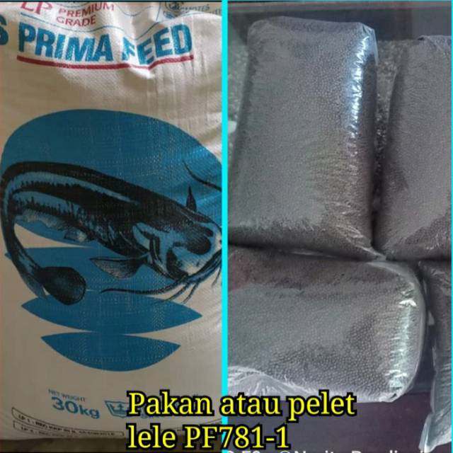 Pakan lele pelet lele prima feed 781-1 kemasan 1kg makanan lele ternak