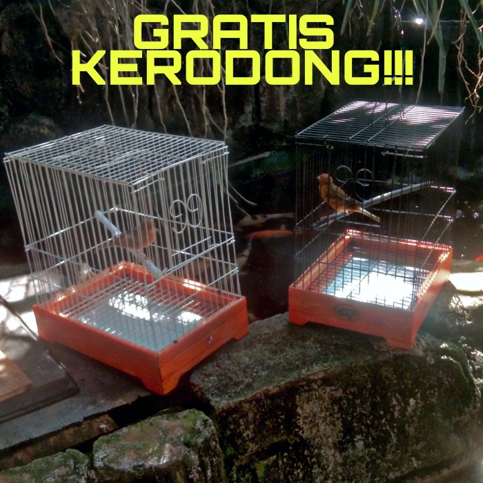 TERLARIS Kandang/sangkar kontes kenari, kandang travel burung kenari bongkarpsg HGS0X-83
