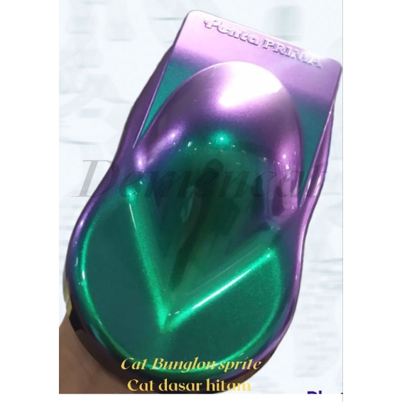 Cat bunglon Special 3 warna green violet blue / Cat bunglon / cat bunglon putih / cat bunglon spesia