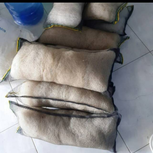 Jaring bekas nelayan media filter kolam koi