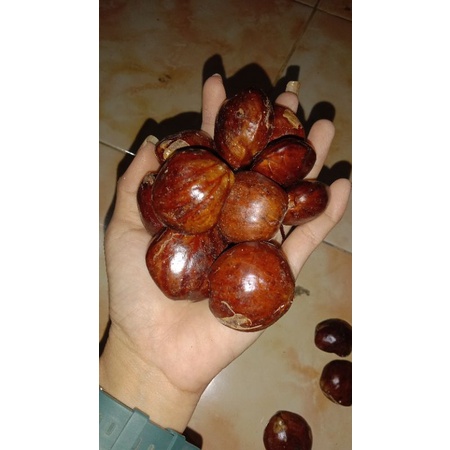 

jengkol 1 kg