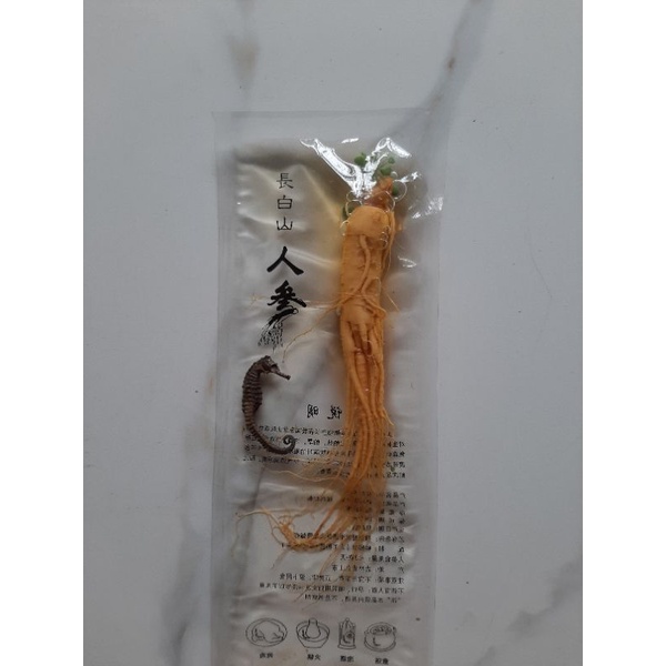 

Akar Ginseng Fresh Vacuum 100gram Akar ginseng segar 1Pcs