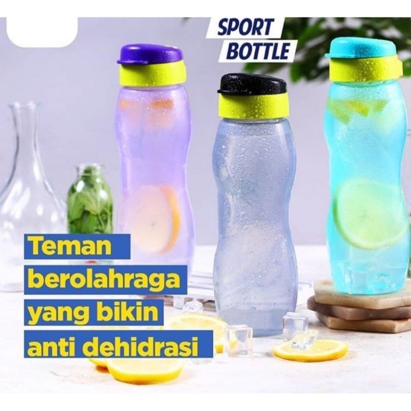 Botol Minum Set Sport X Bottle Isi 3pcs 650ml Botol Sepeda Botol Olahraga Gym Botol Kulkas Set Serbaguna