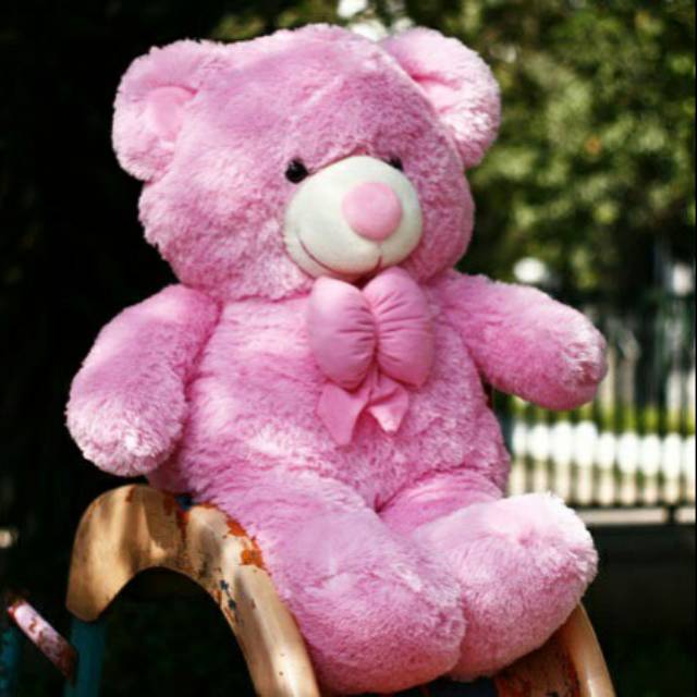 boneka teddy bear jumbo pink