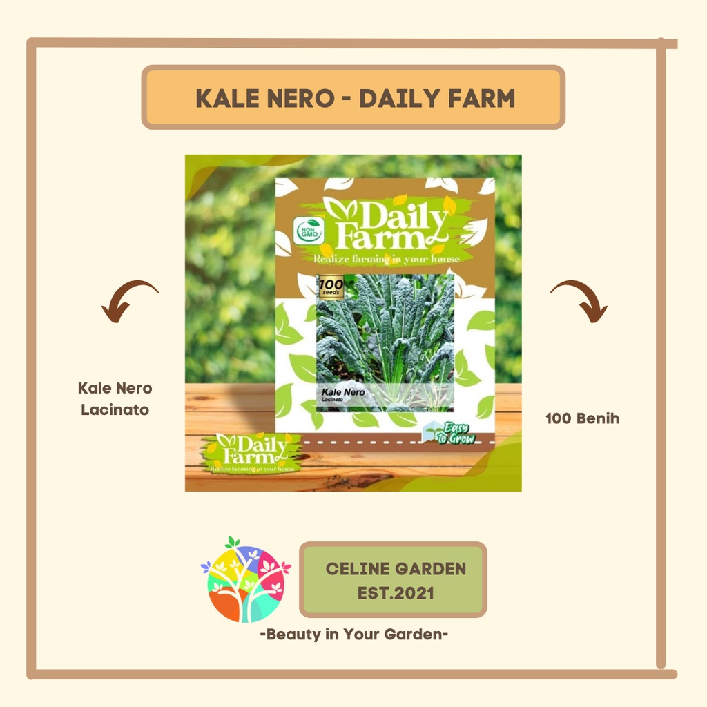BIBIT KALE / KALE NERO LACINATO / DAILY FARM / ORIGINAL
