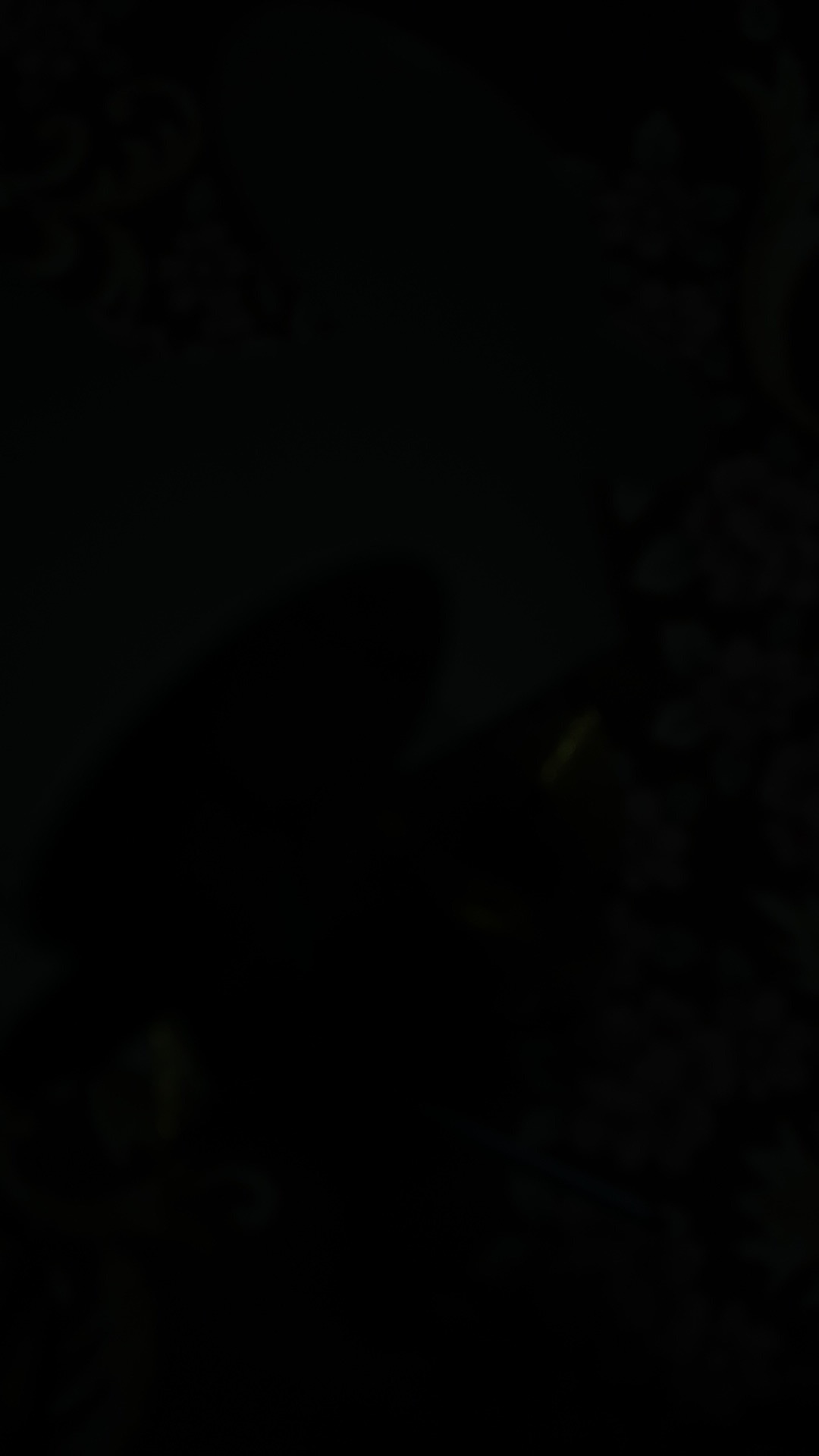 Dus Toples Kue Kering Toples Ukuran 350gr Edisi Lebaran (toples Isi 2)