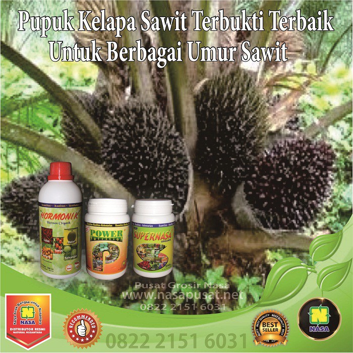 Pupuk Sawit Terbaik