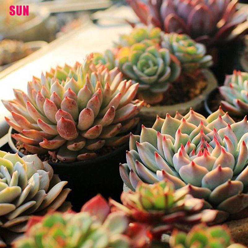 (Bf) Lampu Penumbuh Tanaman Led Spektrum Penuh Usb 10w Dc 5v