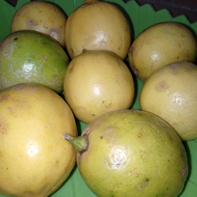 Jeruk Lemon Lokal Murah 250