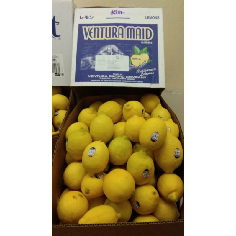 

FRESH LEMON USA 17 KG SEGAR DAN BAGUS ( CARTON )