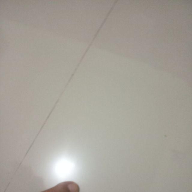 Paket Hemat Tanaman Hias Sukulen Kaktus Isi 5pcs Bisa Indoor Outdoor