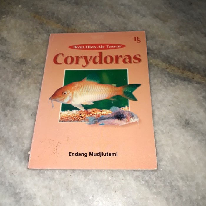 Ikan Hias Air Tawar - Corydoras