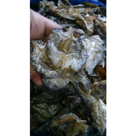 

ikan danau bilih belah tawar - 500gram