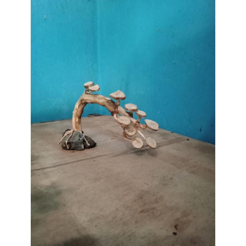 Pohon bonsai aquascape hiasan aquarium hardscape jungle akar