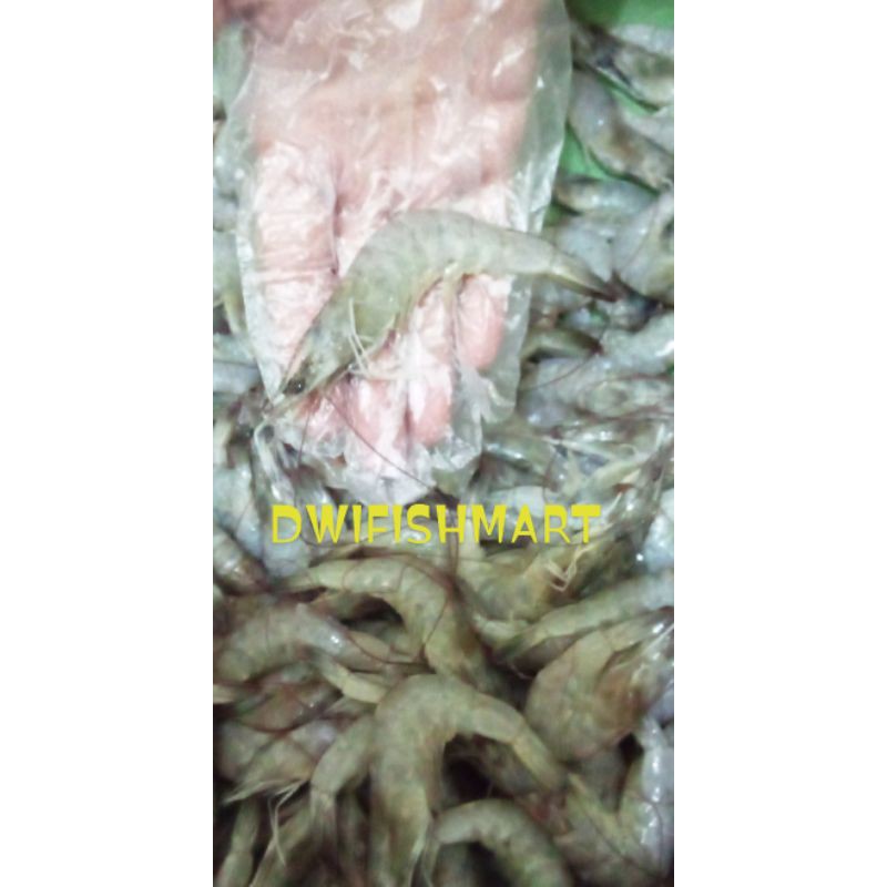 

udang segar / udang vaname segar 500 gram / hasil laut segar frozen pack