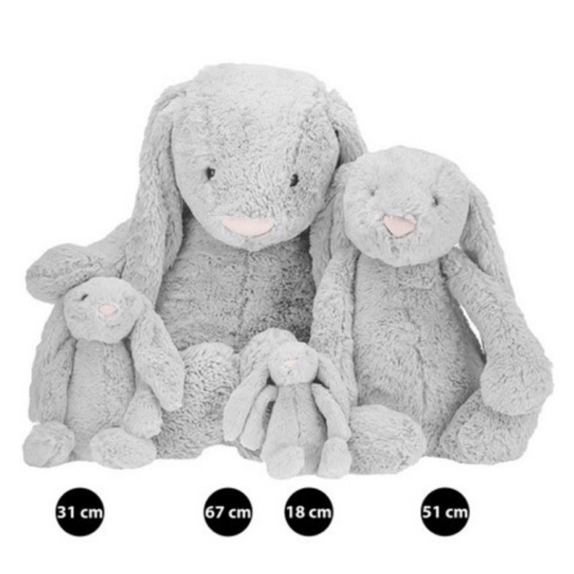 black dog chain collar