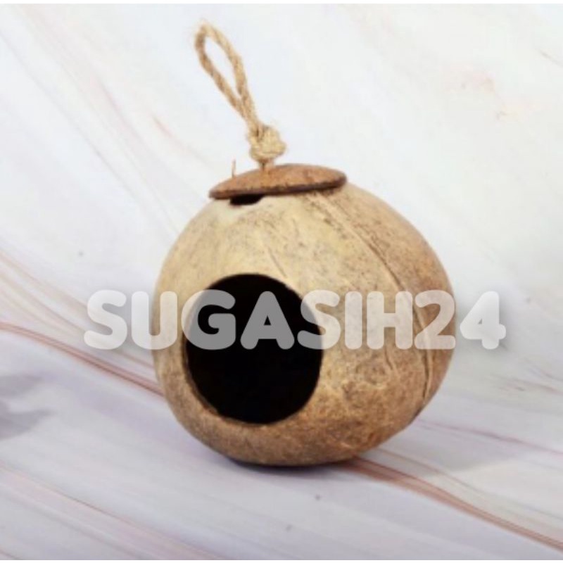 GLODOK BURUNG BATOK SERABUT KELAPA LOVE BIRD NURI SUGAR GLIDER HAMSTER