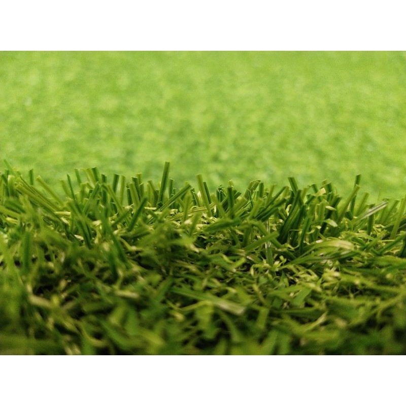 Rumput Sintetis Swiss Uk. 200 x 100 cm Best Quality