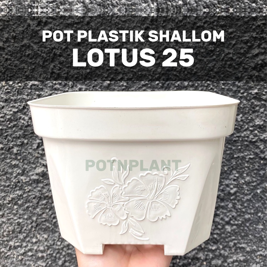 Pot Plastik Kotak Shallom Lotus 25 - PUTIH