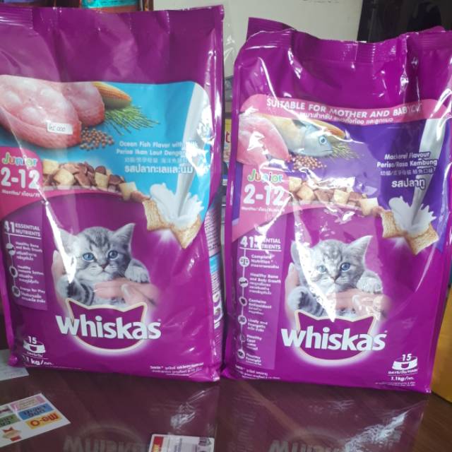 Whiskas junior dry food 1.1kg fresh pack