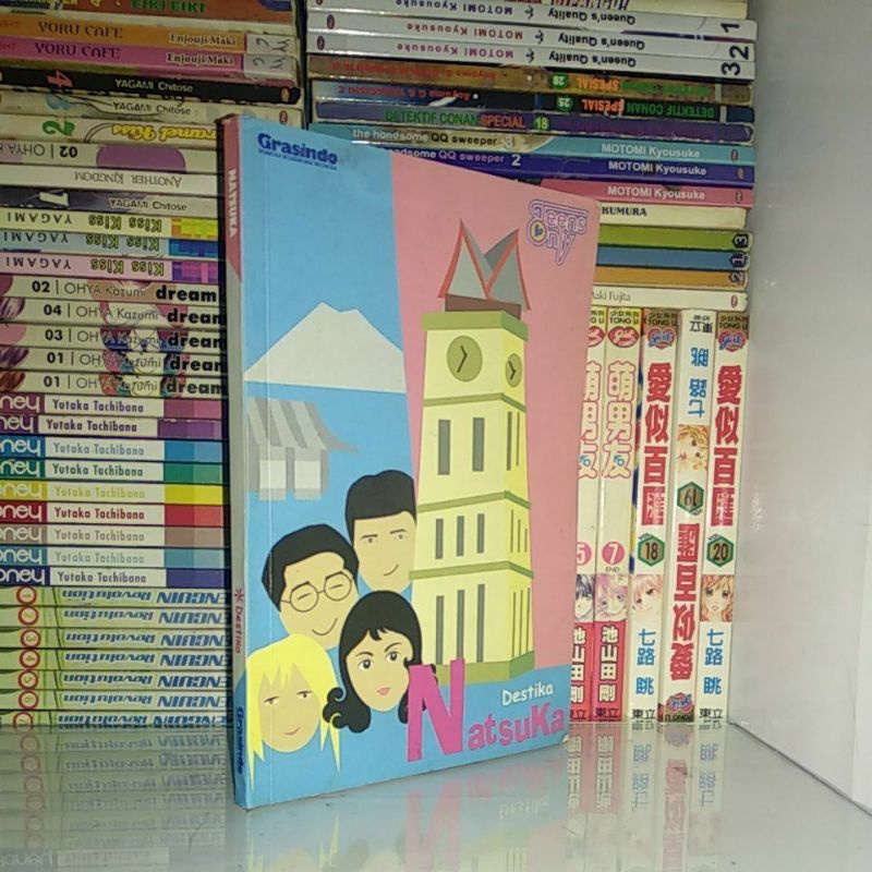 Novel NATSUKA