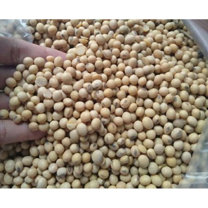 

KACANG KEDELAI SUPER/1KG