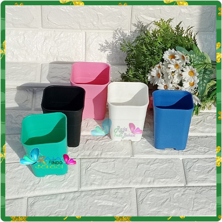 Pot Kotak Sofi 8 Cm Putih Pink Hijau Biru - Pot Cactus Tosca Sanse Sekulen Mini Kaktus Pot 8cm