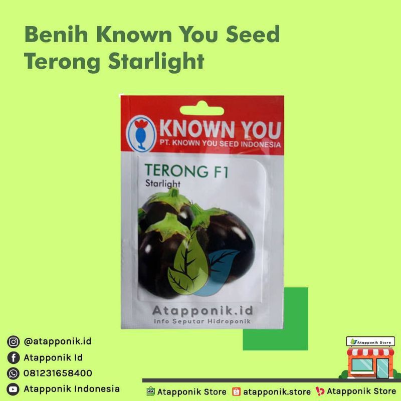 benih bibit terong bulat mini starlight f1
