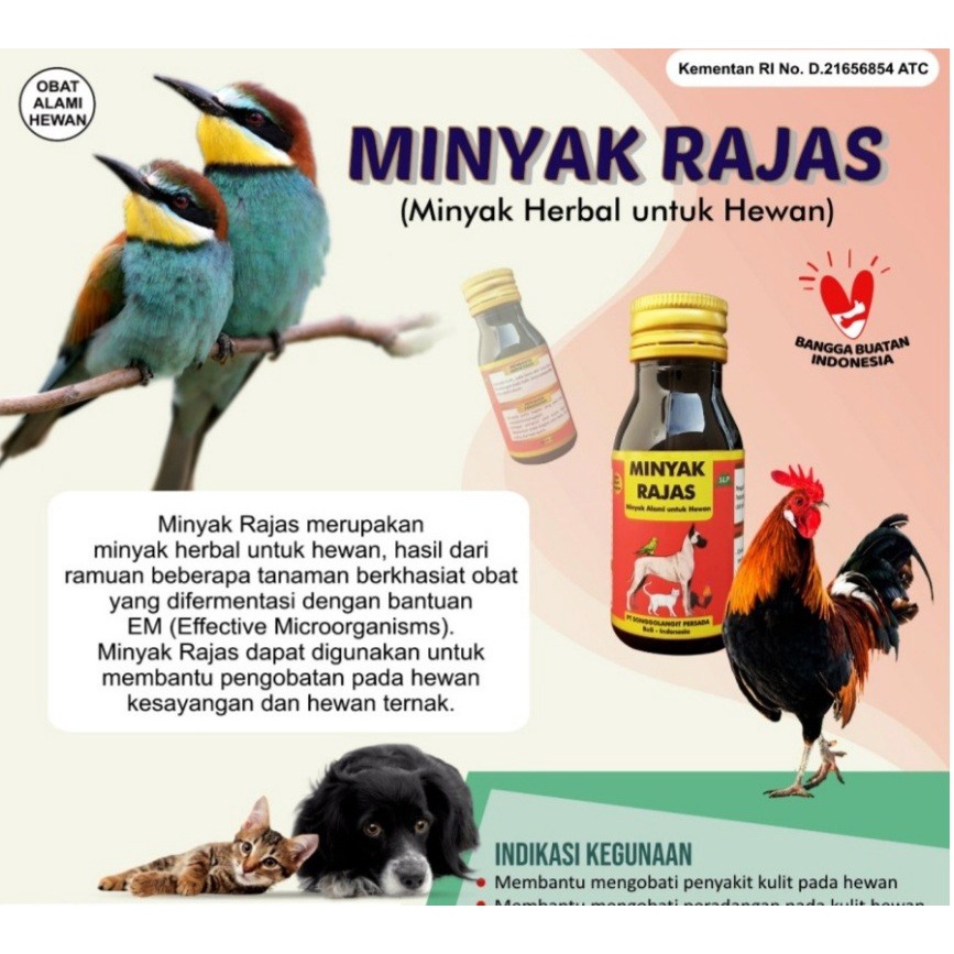 MINYAK RAJAS 60ML obat kulit anjing kucing penguat otot ayam burung