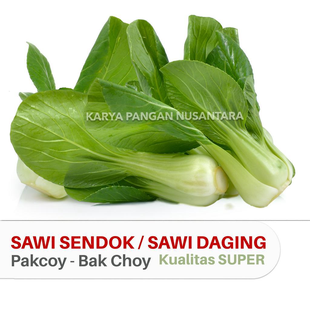 

SAYUR SAWI SENDOK SAWI DAGING SAYUR POKCOY PAKCOY BAK CHOY PAK CHOY